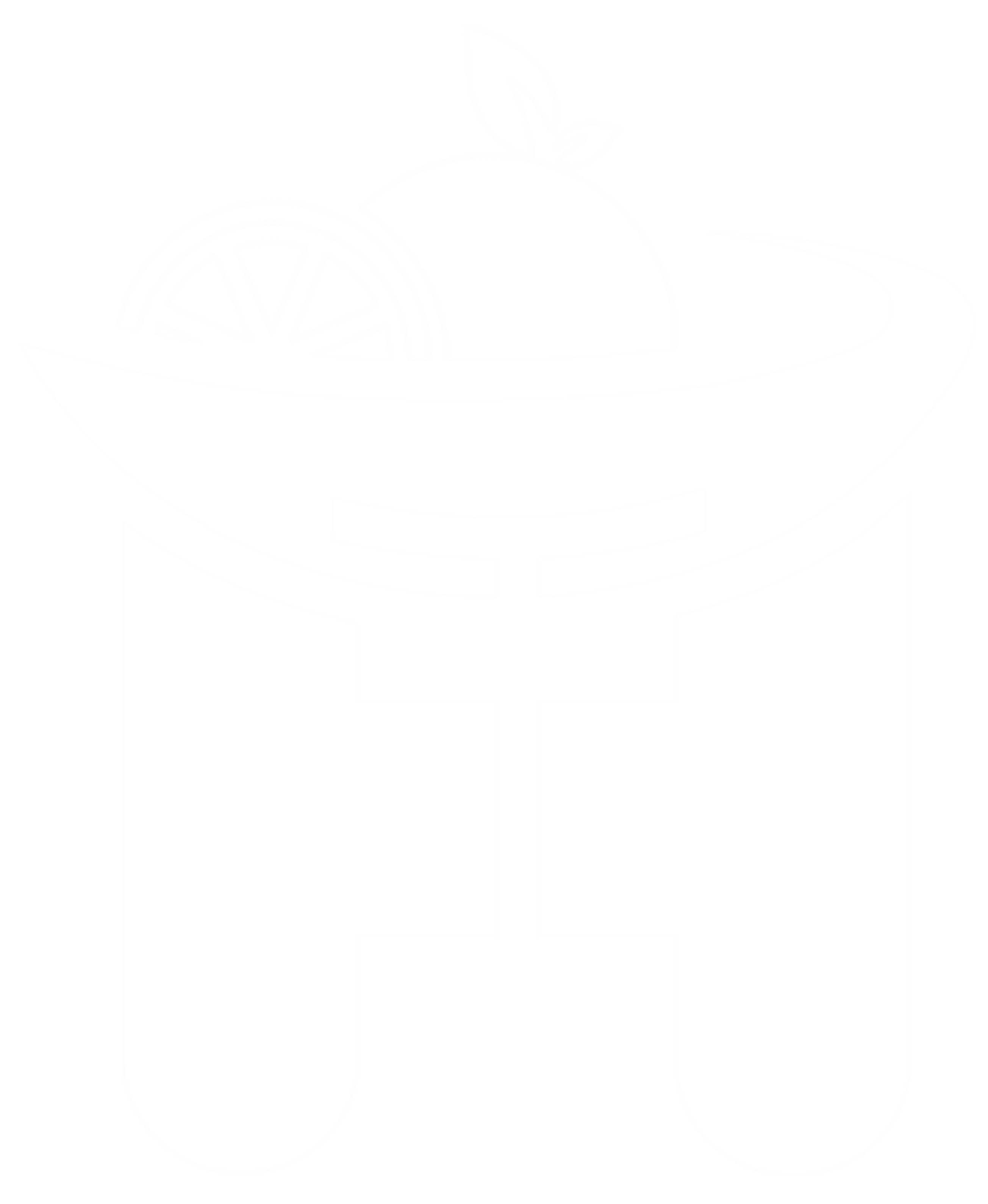 The Healthy Club